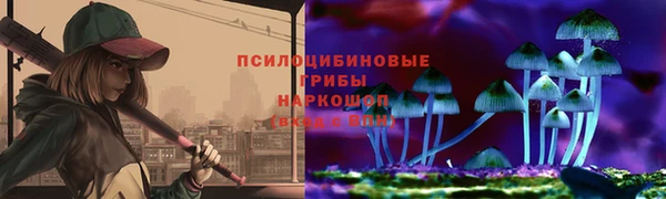 PSILOCYBIN Алзамай