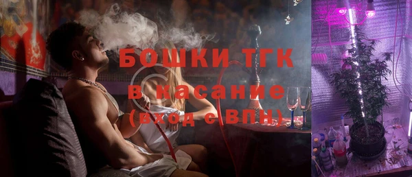 PSILOCYBIN Алзамай